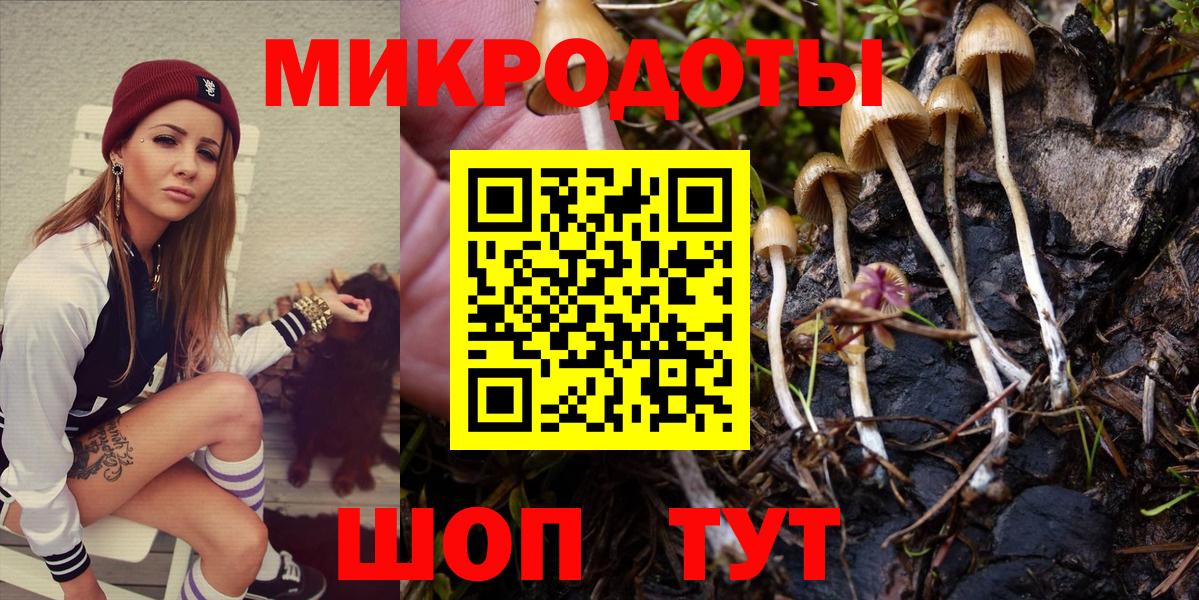 Асино  Псилоцибиновые грибы Psilocybine cubensis  Вход с VPN 