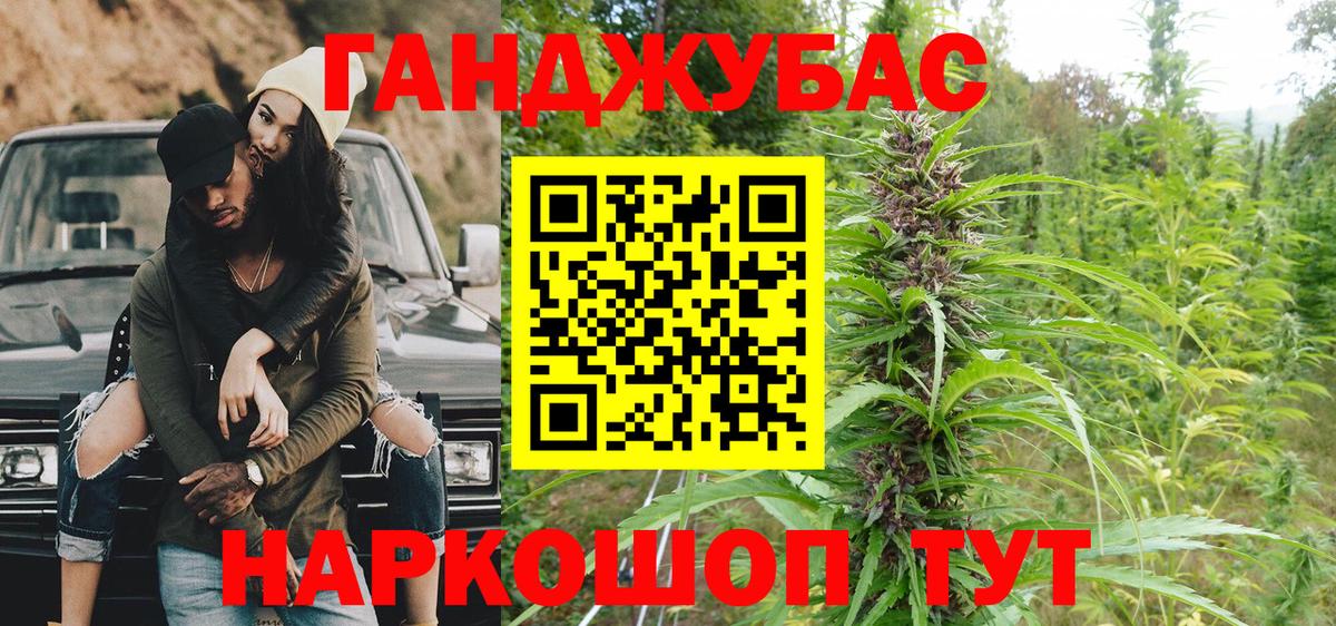 Бошки Шишки план  Вход с VPN  Конопля сатива  Шишки марихуана план  Асино 